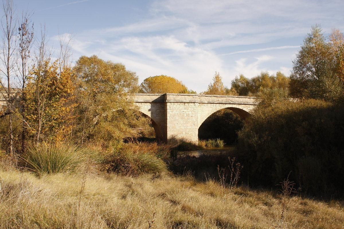 Fotografía de la galería de imágenes con id: 922